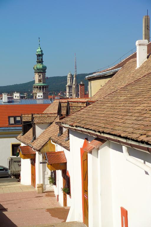 Vinosseum Bor- Es Apartmanhaz Sopron Luaran gambar